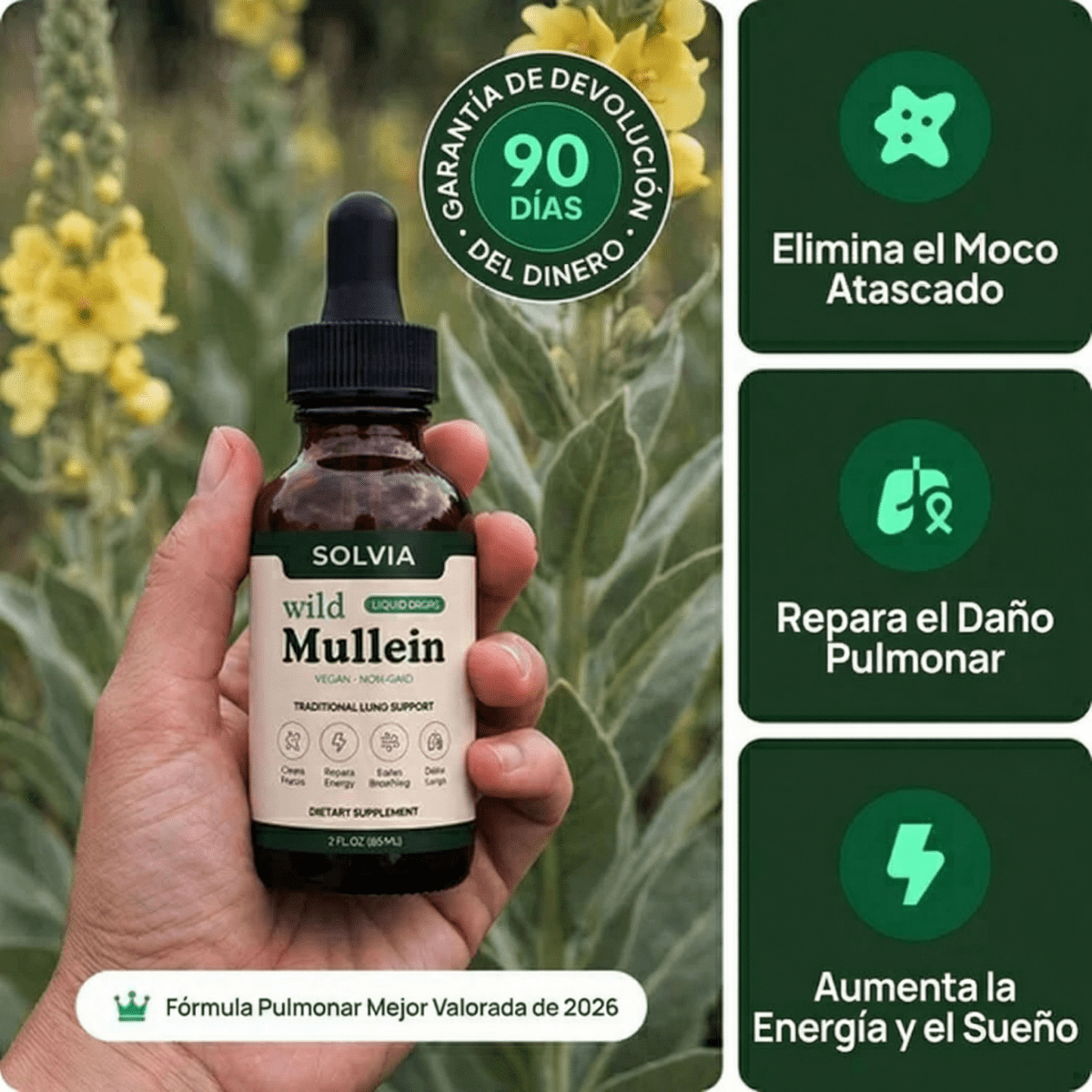 ¡Elimina la Mucosidad Atascada y Recupera una Respiración Fácil en Solo 7 Días!